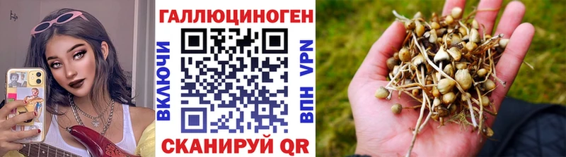 Галлюциногенные грибы ЛСД  блэк спрут как войти  Белогорск 
