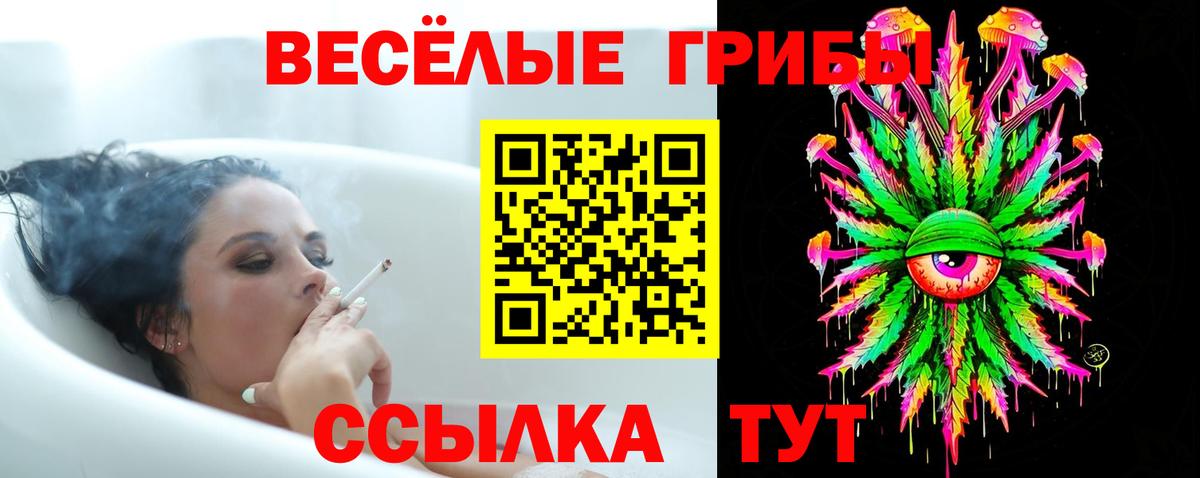 Псилоцибиновые грибы Psilocybe  Галлюциногенные грибы Cubensis  Белогорск  Вход с VPN 