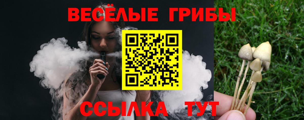 Псилоцибиновые грибы Psilocybe Белогорск